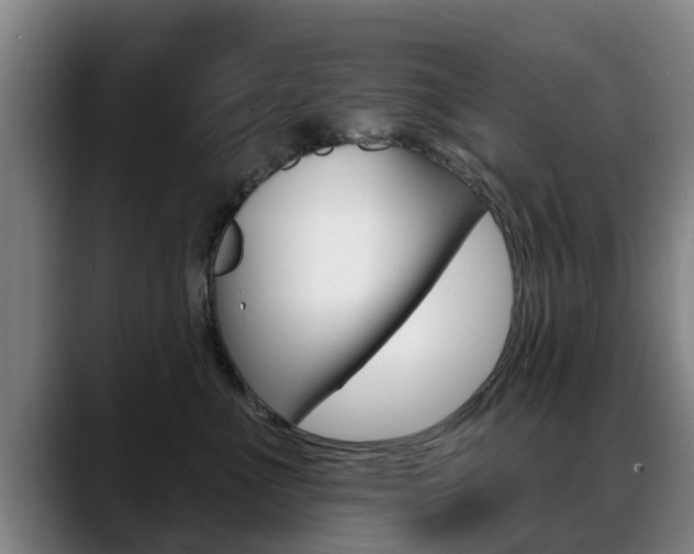 X0000089420523200706151005