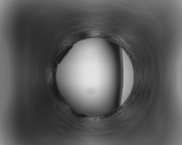 X0000089420524200706151005