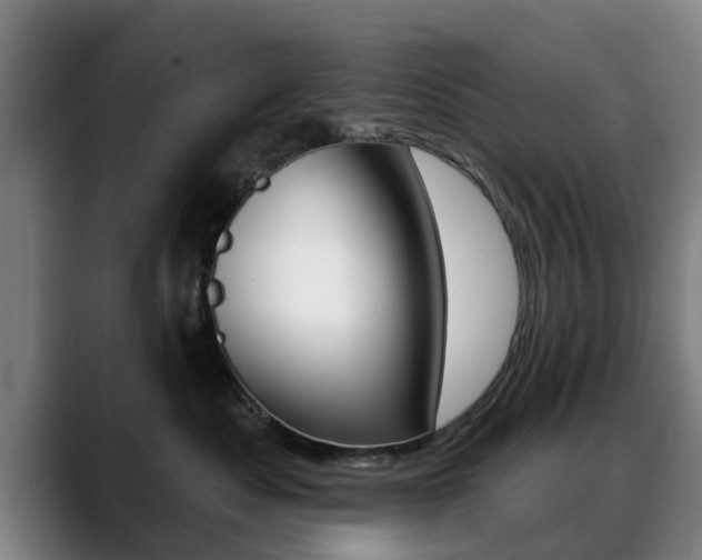 X0000089420525200706151005