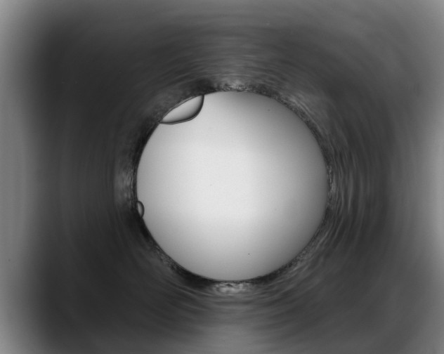 X0000089420526200706151005