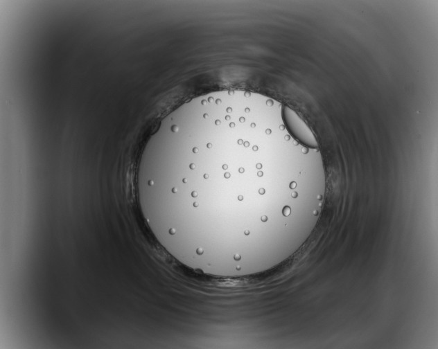 X0000089420527200706151005