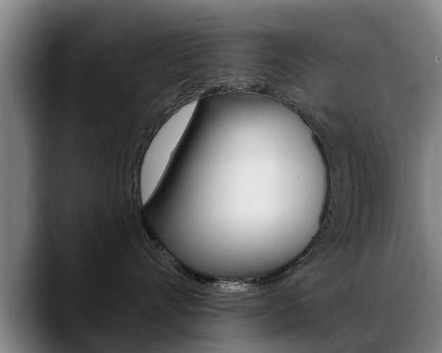 X0000089420528200706151005