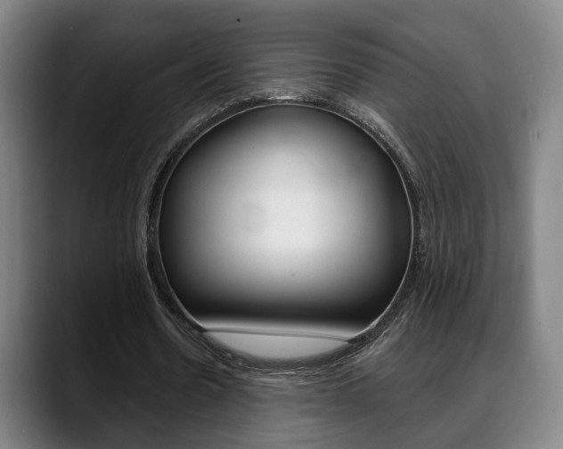 X0000089420530200706151005