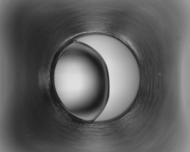 X0000089420532200706151005