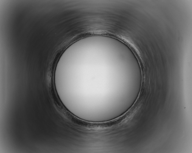 X0000089420533200706151005