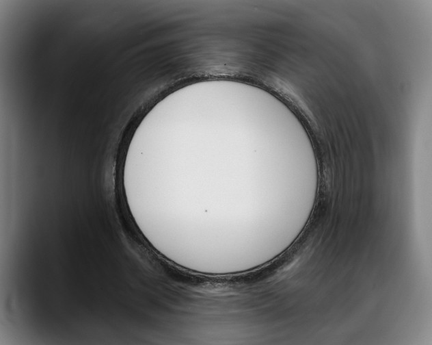 X0000089420534200706151005