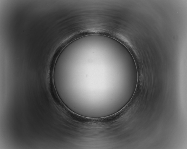 X0000089420535200706151005
