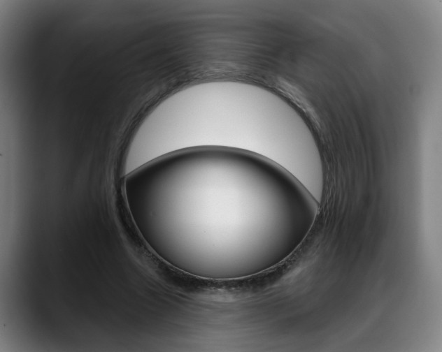 X0000089420538200706151005