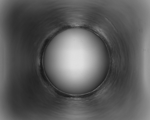 X0000089420539200706151005