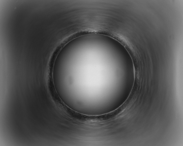 X0000089420540200706151005