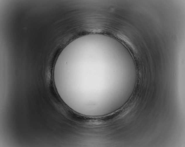 X0000089420541200706151005