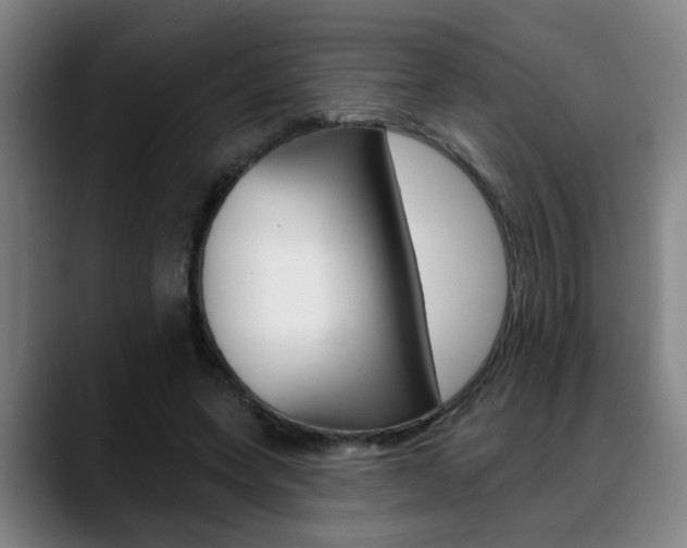X0000089420543200706151005