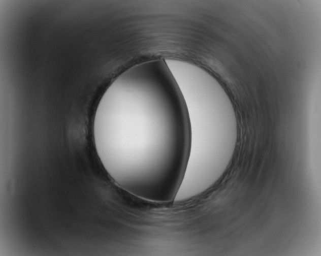 X0000089420544200706151005