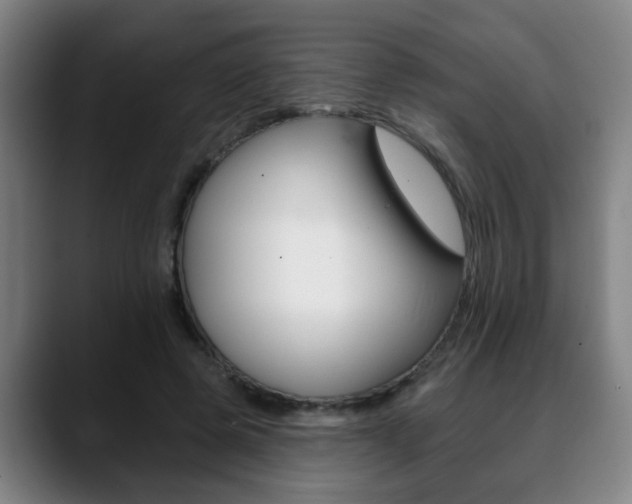 X0000089420545200706151005