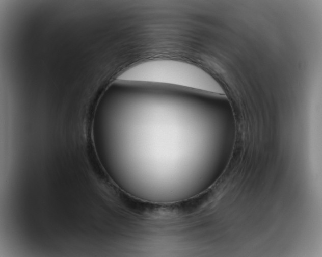 X0000089420546200706151005
