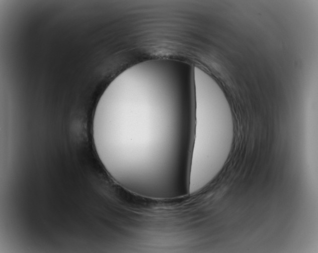 X0000089420547200706151005