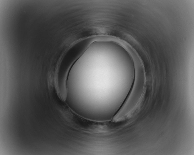 X0000089420552200706151005