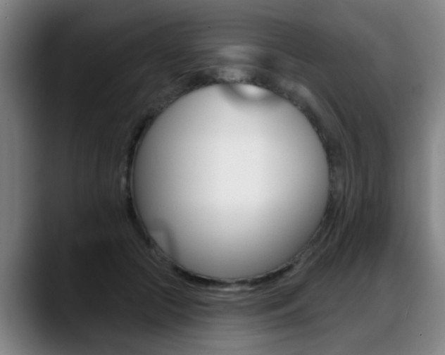 X0000089420553200706151005