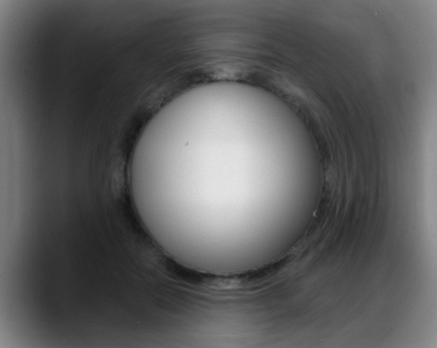 X0000089420554200706151005