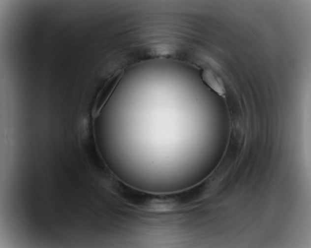 X0000089420556200706151005