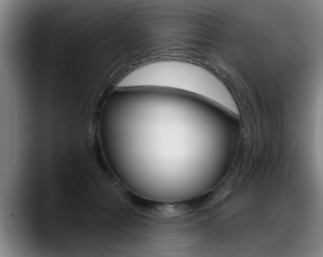 X0000089420558200706151005