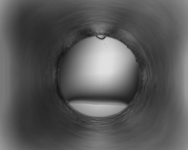 X0000089420559200706151005