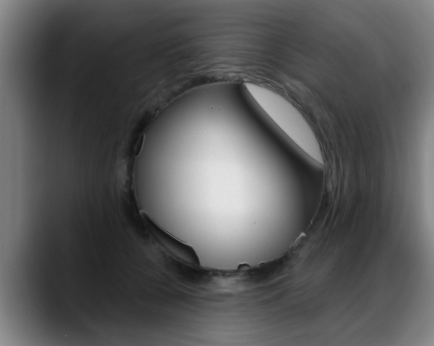 X0000089420560200706151005