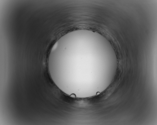X0000089420561200706151005