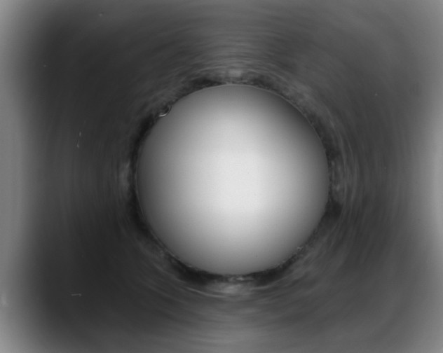 X0000089420563200706151005