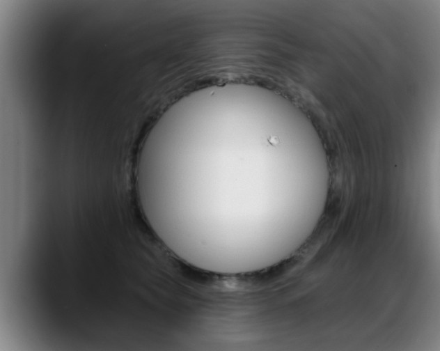 X0000089420565200706151005