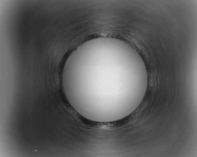 X0000089420569200706151005