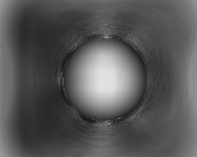 X0000089420576200706151005