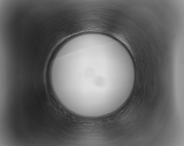 X0000089420579200706151005