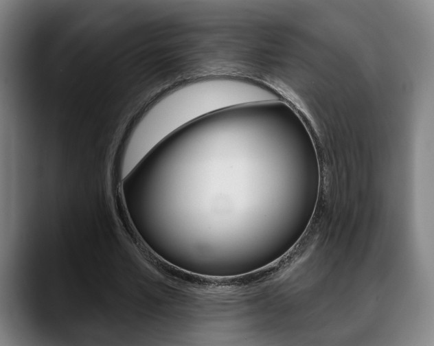 X0000089420581200706151005