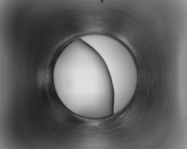 X0000089420583200706151005