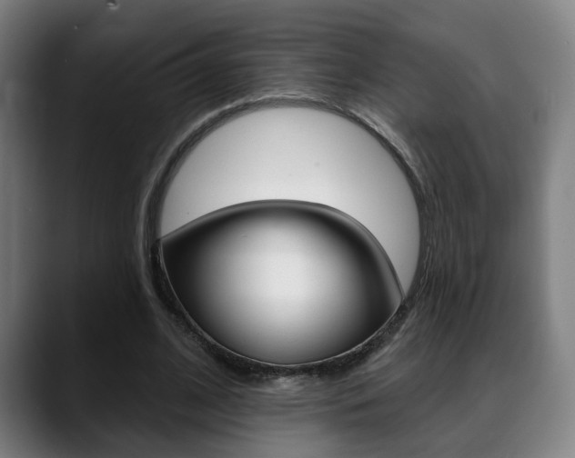 X0000089420584200706151005