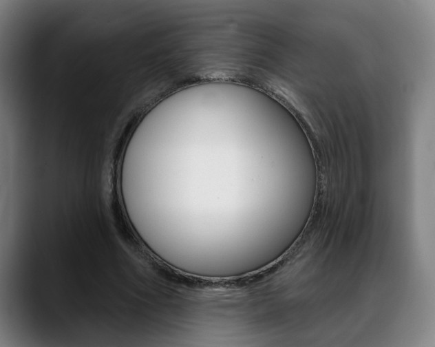 X0000089420586200706151005