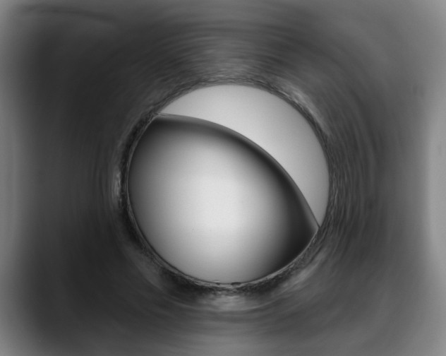 X0000089420589200706151005