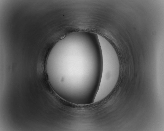 X0000089420593200706151005