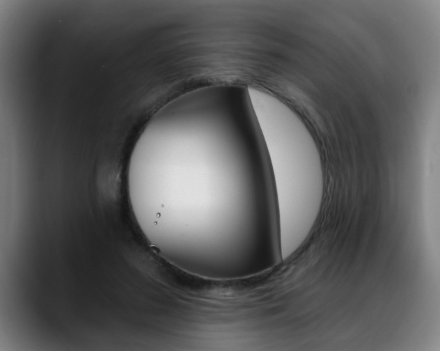 X0000089420596200706151005