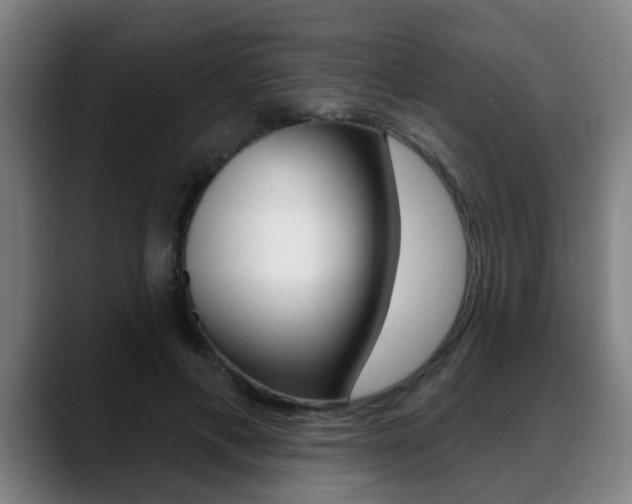X0000089420597200706151005