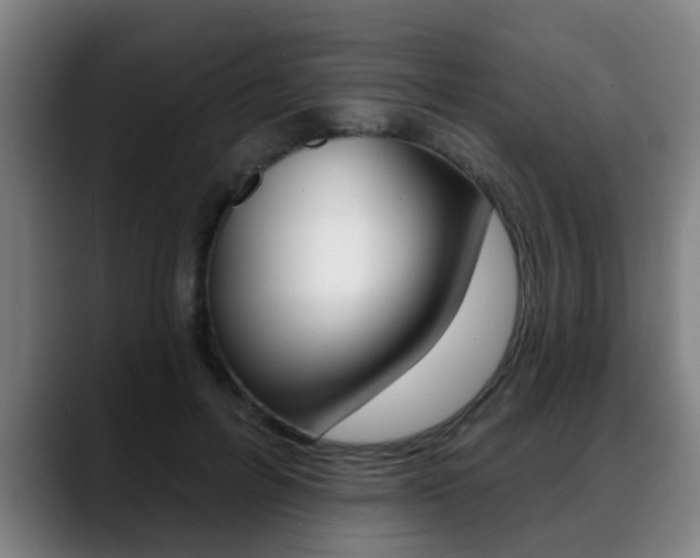 X0000089420600200706151005