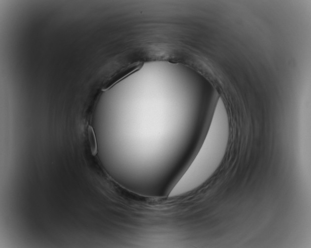 X0000089420601200706151005