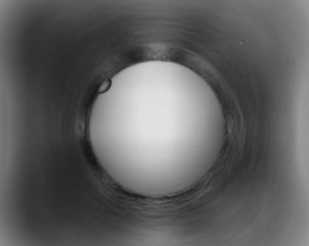 X0000089420602200706151005