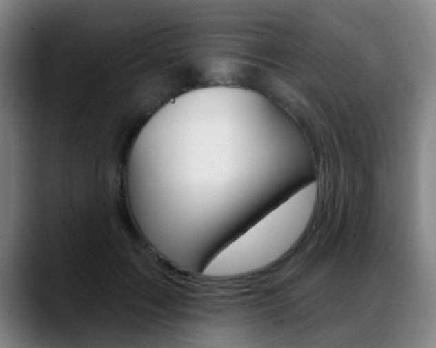 X0000089420603200706151005