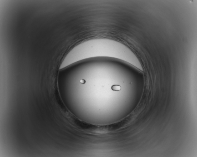 X0000089420604200706151005
