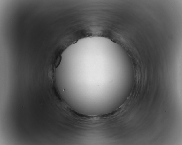 X0000089420609200706151004