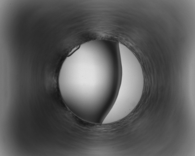 X0000089420613200706151004