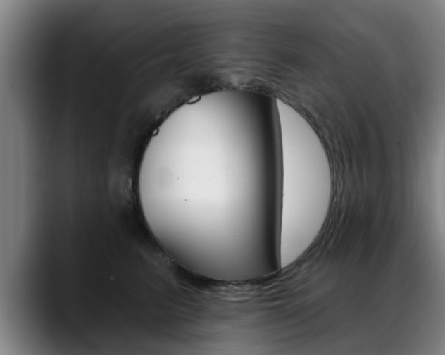 X0000089420615200706151004