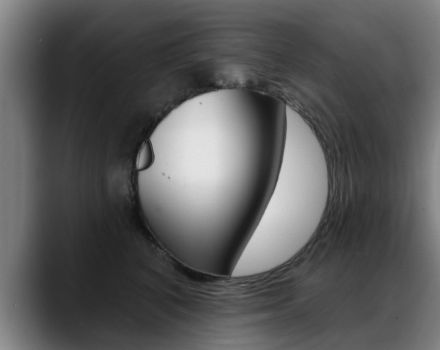 X0000089420616200706151004